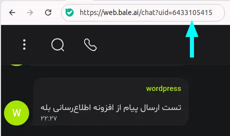 دریافت شناسه گروه در پیامرسان بله